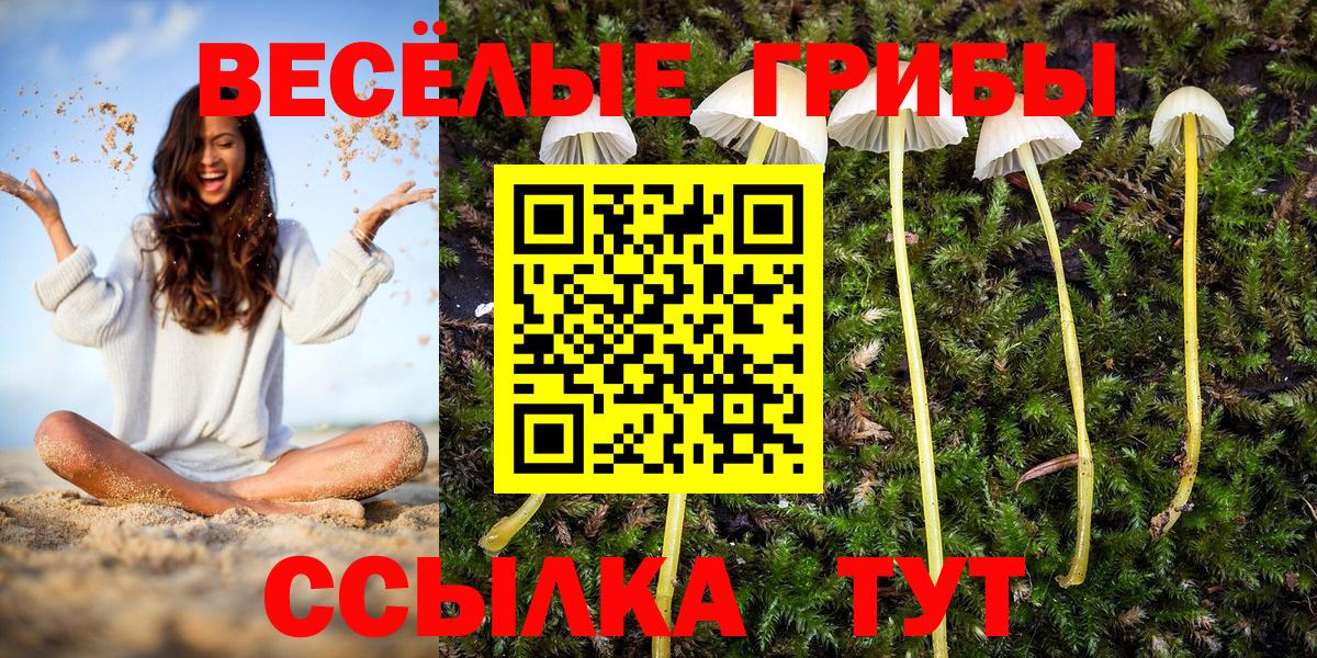 Балтийск  Галлюциногенные грибы GOLDEN TEACHER  Вход с VPN  Псилоцибиновые грибы MAGIC MUSHROOMS 
